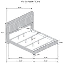 Lucia Eastern King & Queen Bed Beige & Grey