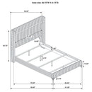 Lucia Eastern King & Queen Bed Beige & Grey