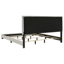Dorian Beds 2