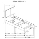 Boyd Beds