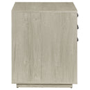 Loomis File Cabinet