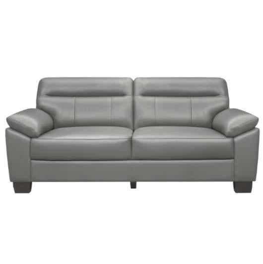 Denizen Sofa in Gray 9537GRY-3 image