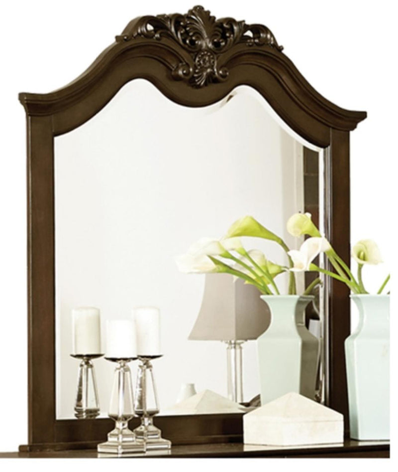 Mont Belvieu Mirror in Dark Cherry 1869-6 image