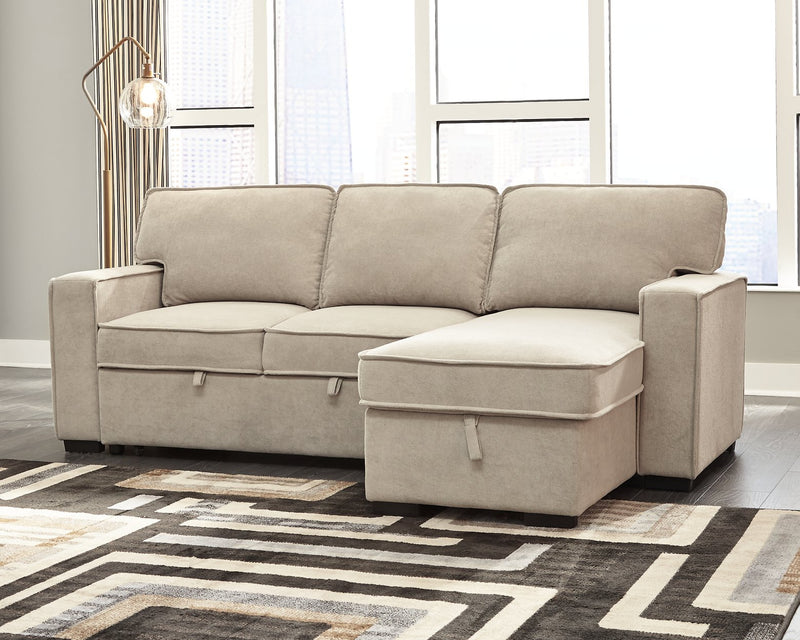 Darton 2-Piece Sleeper Sectional with Storage image