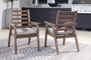 Emmeline Outdoor Dining Arm Chair with Cushion (Set of 2) image